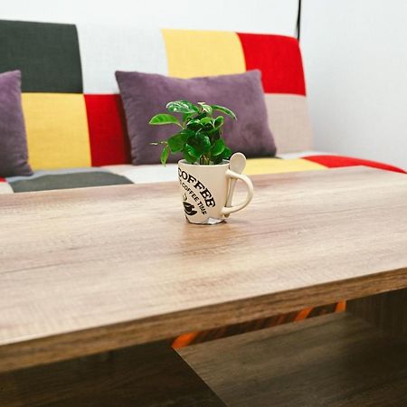 Cozy Apartment Брашов Екстериор снимка