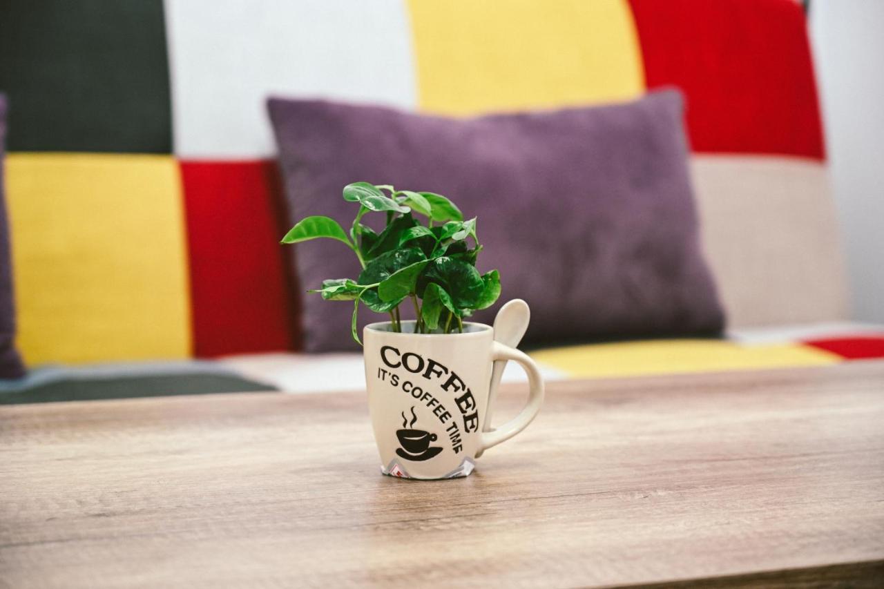 Cozy Apartment Брашов Екстериор снимка
